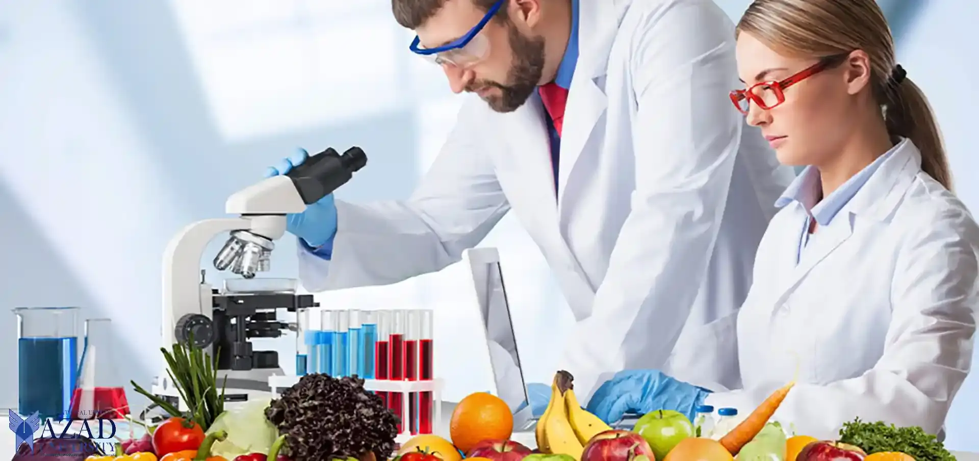 Ciencias de los alimentos de la Universidad de Azad: descripción general