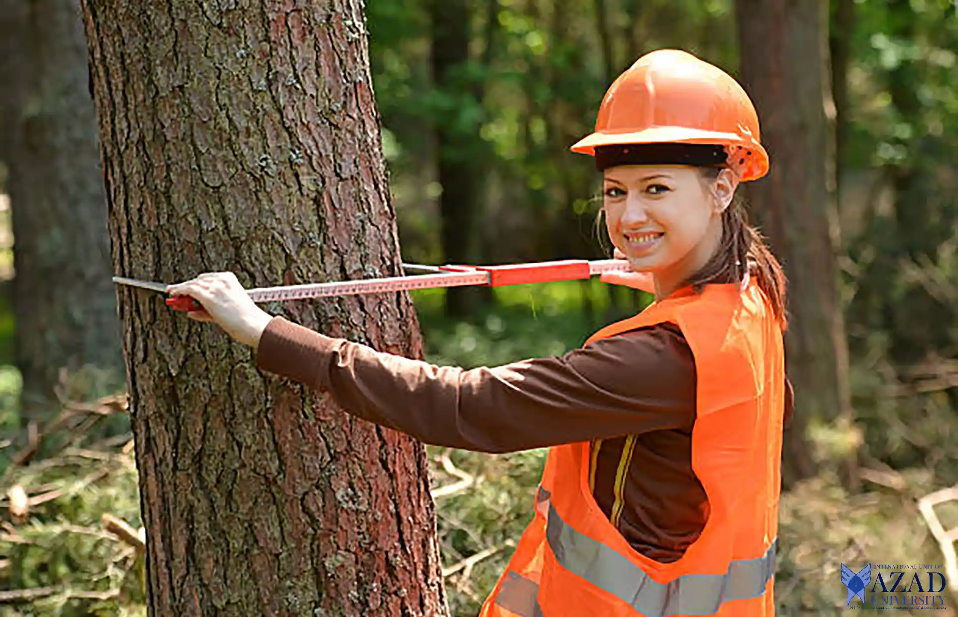 Azad University Forestry Sciences: Uncovering the Basics 