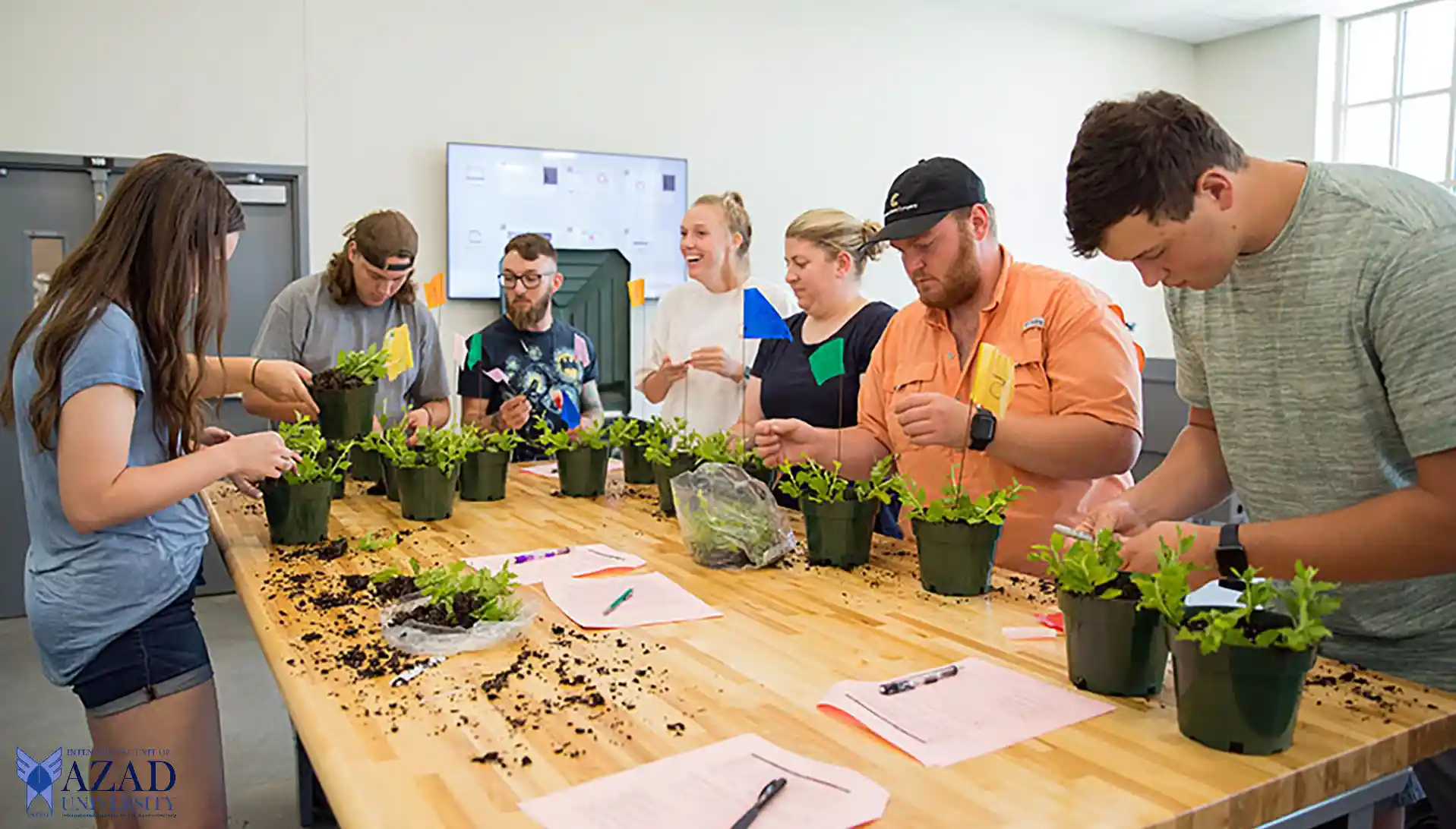 Producción vegetal de la Universidad de Azad: una guía completa