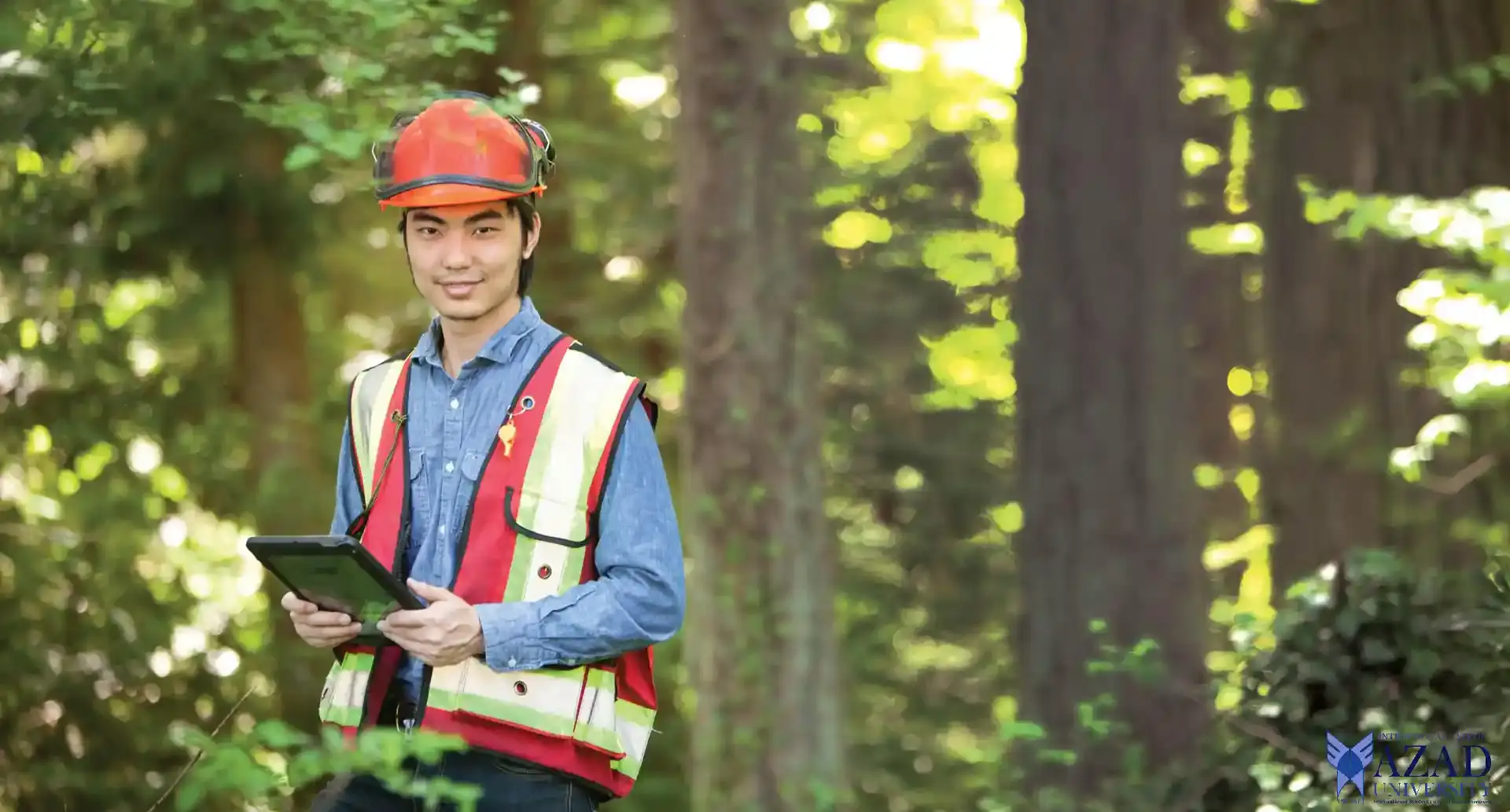 Découvrir les bases de l’agroforesterie