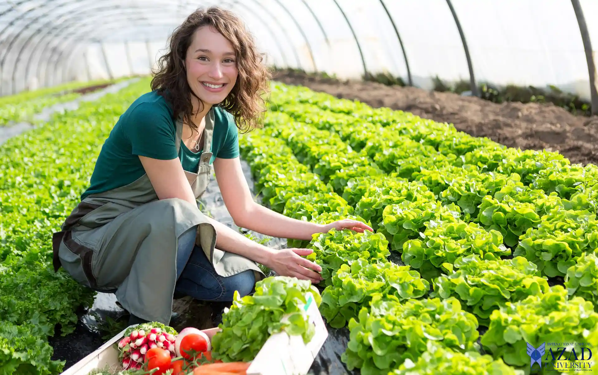  Una guía completa: producción vegetal de la Universidad de Azad