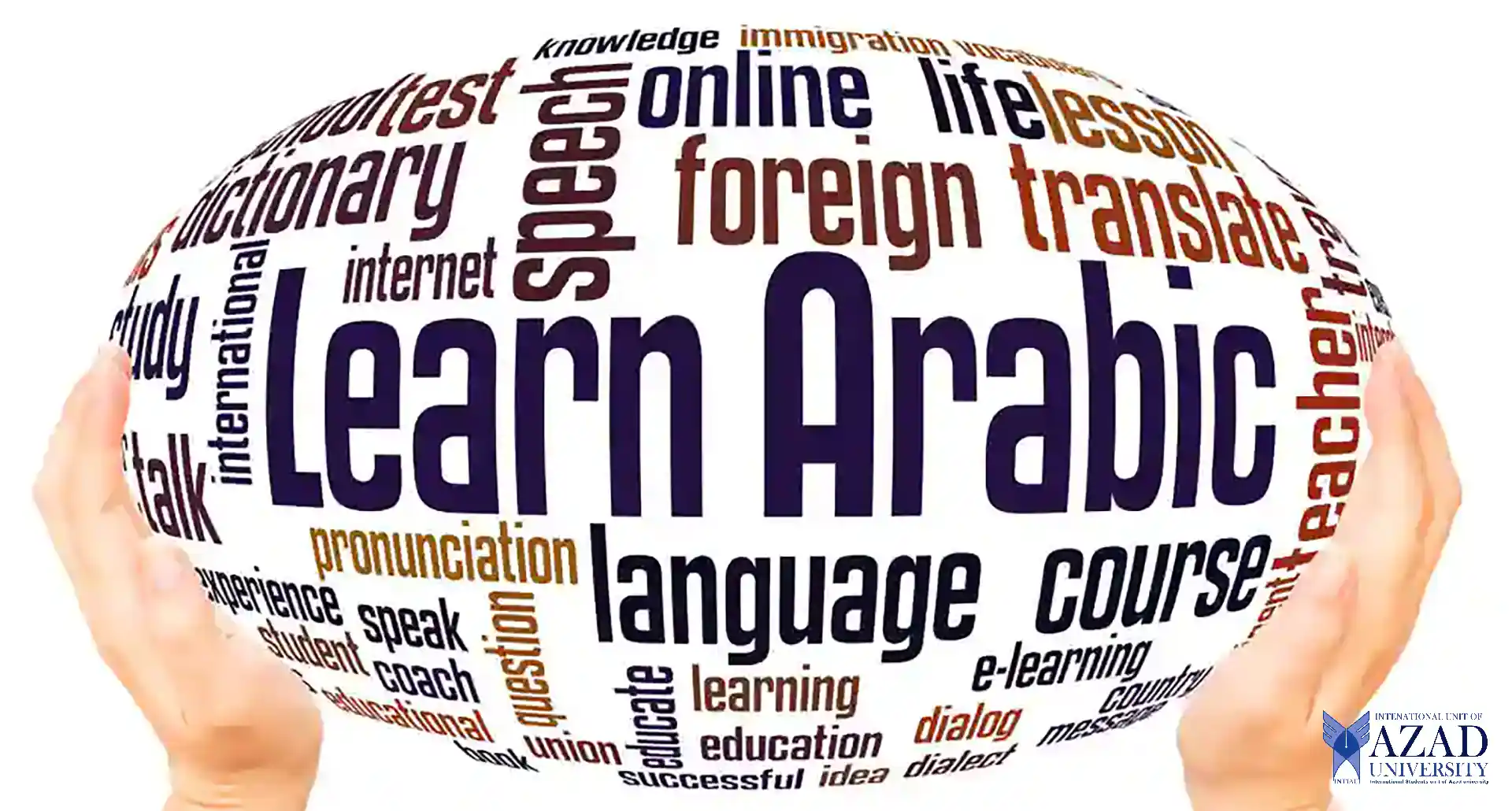 Arabic Language and Literature: An Enriching Experience 