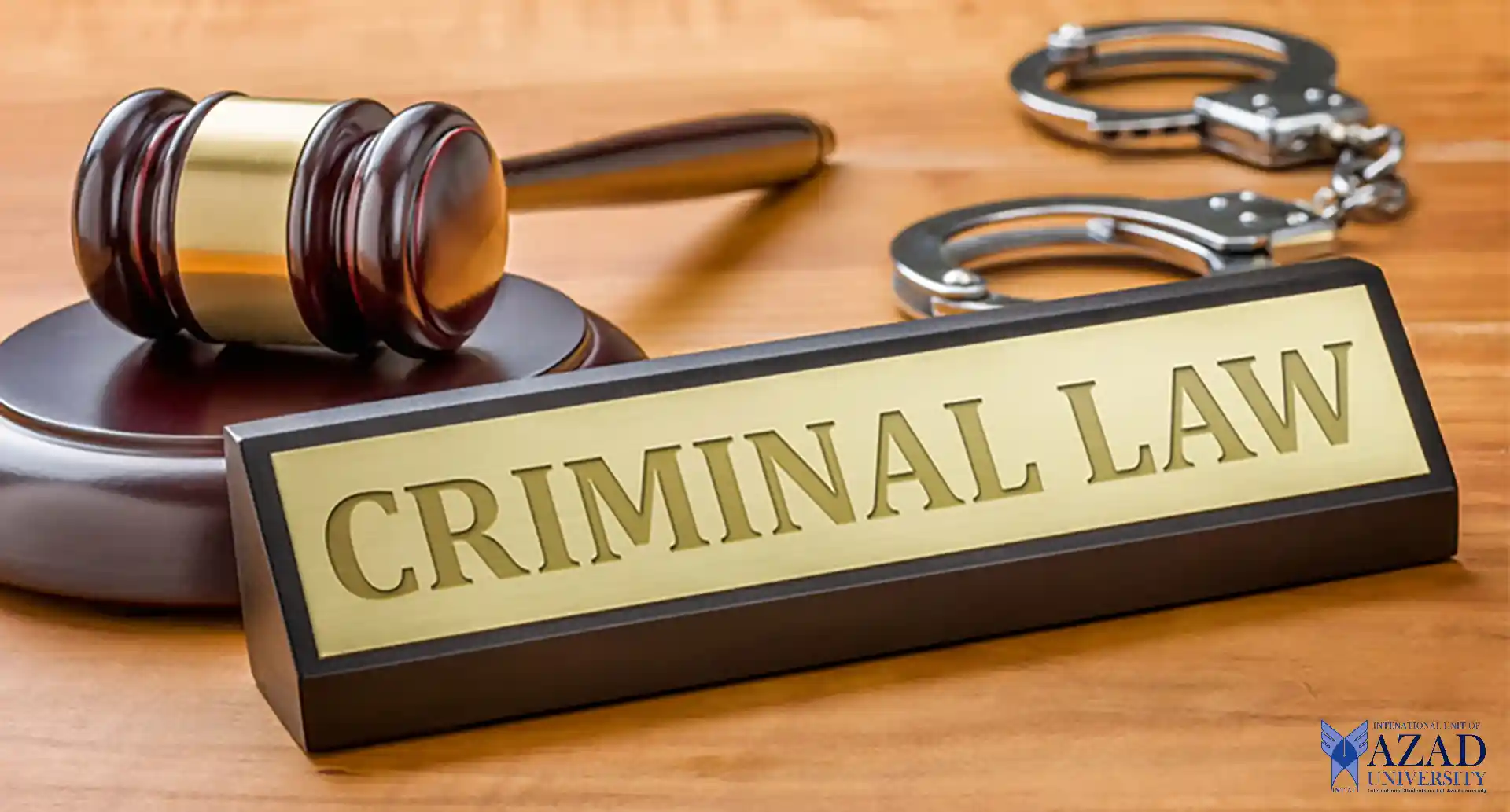 Criminal Law: Unravel Legal Dynamics and Understand Justice