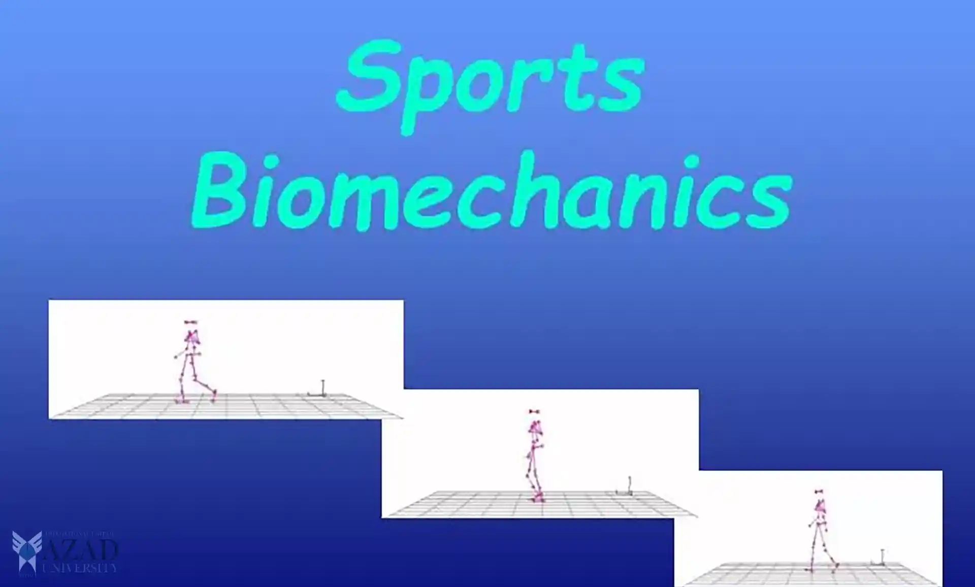 INTIAU Sports Biomechanics: Explore the Dynamics