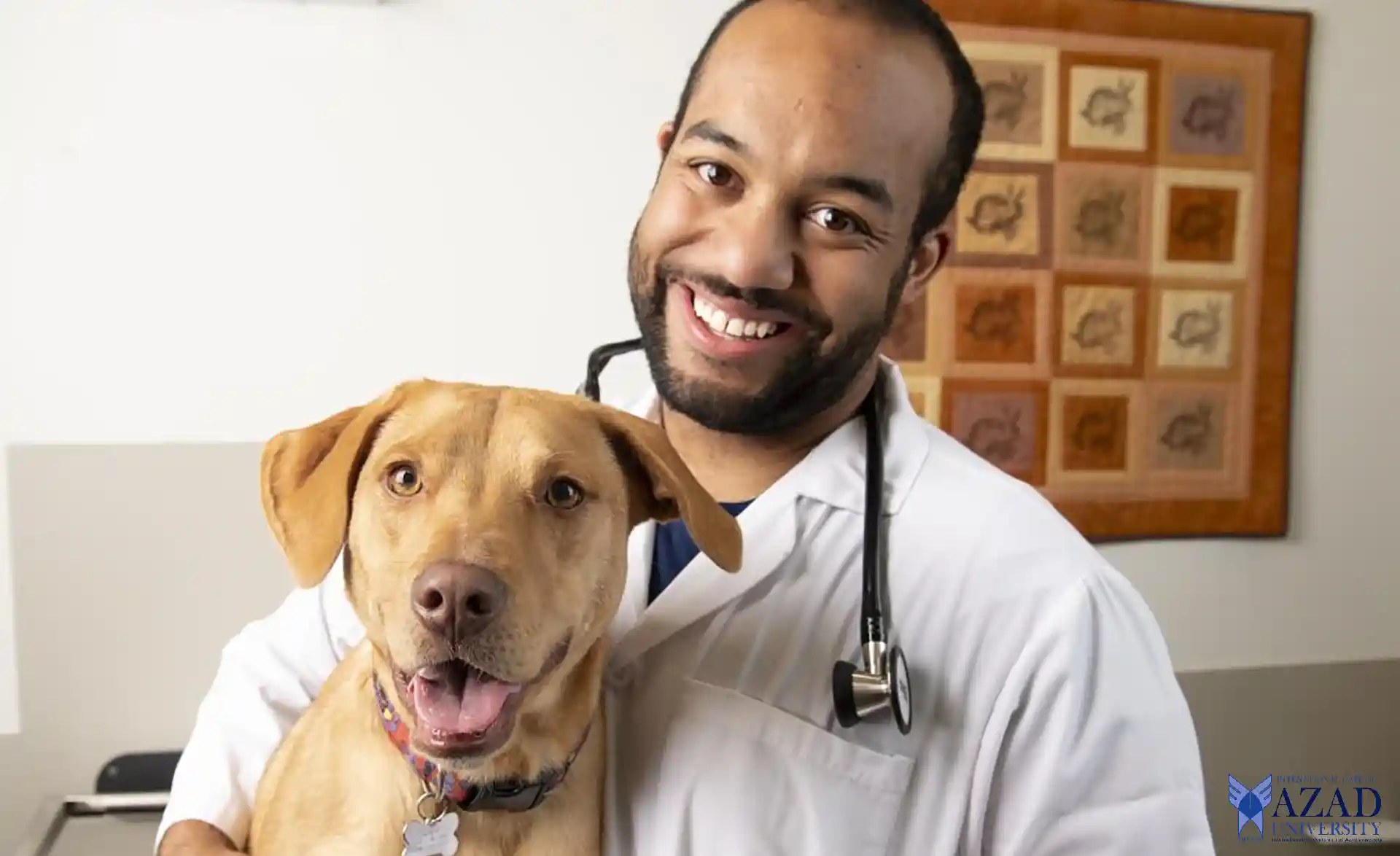 INTIAU Médecine Vétérinaire : Faire progresser la santé animale